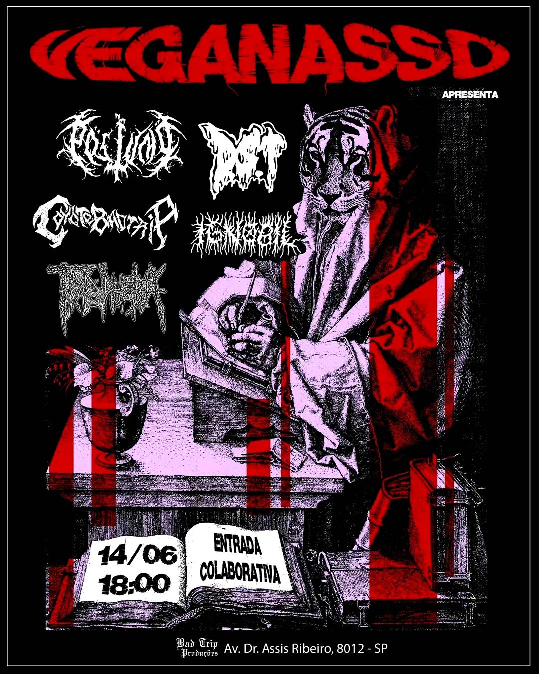 Cartaz de show em São Paulo, 14 de junho de 2025 às 18:00